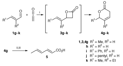 Reagents and conditions: i, 2d, 
CH2Cl2; ii, EtOH, conc. HCl, reflux; iii, KOH, 
aqueous EtOH, reflux.