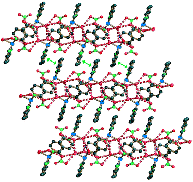 A lateral view of the
2D layers in compound 3c showing
the extended hydrogen bond system involving solvated water molecules (dashed
red lines, O⋯O range 2.83–2.89 Å). The stacking
of the layers shows interdigitation and π–π interactions (green
double arrows, stacking separation 3.54 Å).
