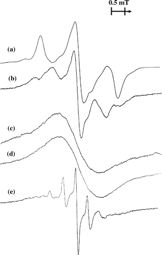 EPR
 spectra of benzene radical cations measured at low temperatures in various solid media: (a) CFCl3, 15 K; (b) argon, 16 K (the sample was annealed at 34 K for 5 min after electron irradiation at 16 K); (c) krypton, 10 K; (d) SF6
, 12 K; and (e) H-ZSM-5 zeolite,
 4 K. The cations were produced by X-radiation or fast electron irradiation.