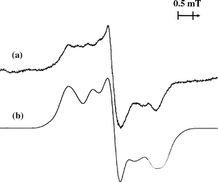(a) EPR spectrum of the deposited mixture argon–C6H5D–CFCl3 (1000:1:2) irradiated with fast electrons and measured at 16 K; (b) simulated spectrum for the 1:1 mixture of the forms I and II C6H5D+• cations (ΨA SOMO). The simulation was carried out using an axially symmetrical g-tensor (g1=g2=2.0029; g3=2.00239) and the hyperfine coupling tensors given in Table 2.