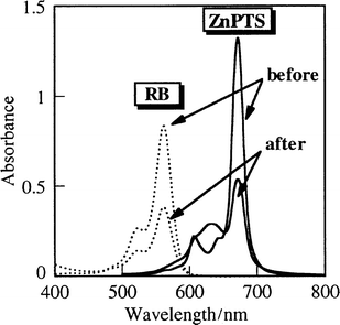 Absorption
 spectra of RB (dotted lines) and ZnPTS (solid lines) before and after the reaction at [photosensitizer]=2.5×10−6 M and [CP]=2.5×10−2 M.