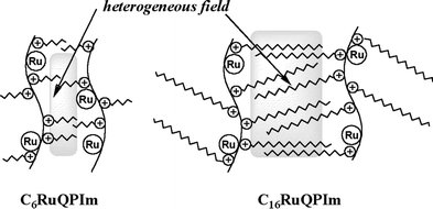 Tentative representation of heterogeneous reaction field formed by polymer photosensitizers.