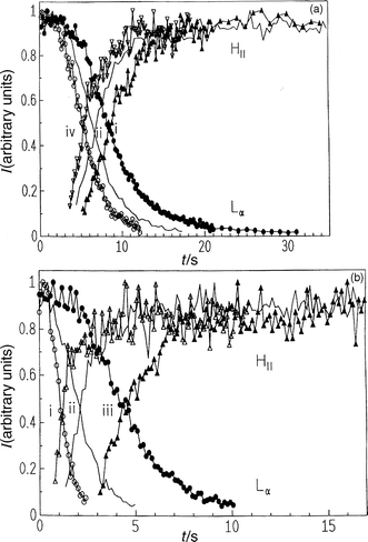 Intensities of Bragg reflections of the Lα
 and HII phase of DOPE–excess water, (a) after the first (i), second (ii) and fourth (iv) p-jump from 300 to 120 bar at T=20°C and (b) after p-jumps from 300 to (i) 1, (ii) 60 and (iii) 110 bar at T=20°C.