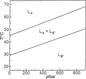 T,p
 phase diagram of a DMPC–DSPC (1:1 mol/mol) dispersion in excess water.