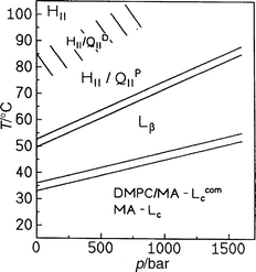 T,p
 phase diagram of DMPC–MA (1:2 mol/mol) in excess water [at low temperature, co-crystallization of pure crystalline myristic acid (Lc phase) and a crystalline lamellar lipid mixture, Lccom, which denotes a crystalline compound phase, occurs].