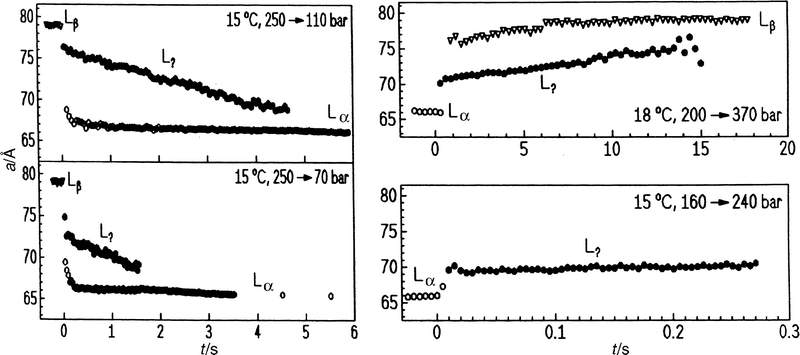 Lamellar lattice constants of DEPC–excess water after pressure jumps (a) into the Lα phase and (b) into the Lβ phase using different pressure-jump amplitudes.
