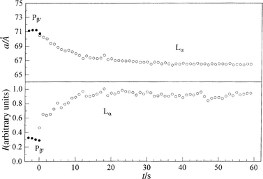 Lamellar
 lattice constants a and Bragg peak intensities I of fully hydrated DPPC after a p-jump from 410 to 195 bar at T=45°C.