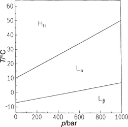 T,p
 phase diagram of DOPE in excess water.