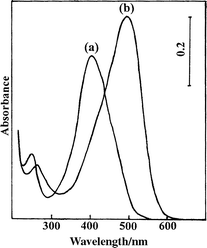 
          UV–vis spectra of aqueous BY solutions at (a) pH 2.5 and (b) pH 10.0.
        