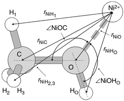 
Sketch of the Ni(CH3OH)2+ complex optimised by MP2/TZV**
ab initio calculations.