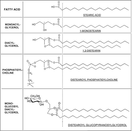 Inverse Micellar Phases Of Phospholipids And Glycolipids Invited
