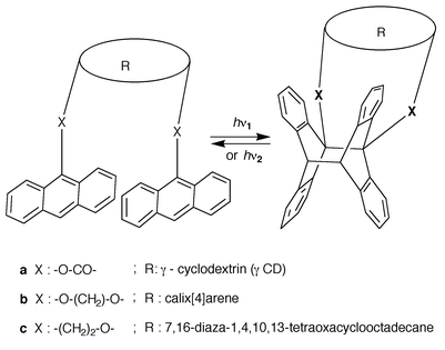 Molecular and ionic receptors whose binding ability is modified by
photocycloaddition.