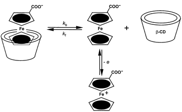 CE mechanism for the oxidation of ferrocenecarboxylate in the presence
of the β-CD host.