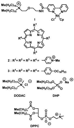 Chart of the rhodium complex (1), porphyrins (2, 
3) and amphiphile (DODAC, DHP, DPPC) used in the Nolte 
self-assembled cytochrome P450 mimic.