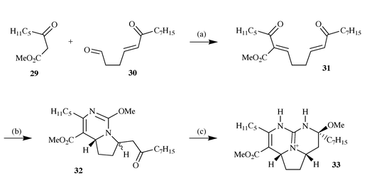 Reagents and conditions: (a) Piperidine,
CH2Cl2, −20 °C, 2 days, 61%; (b) 2 equiv.
O-methylisoureido sulfate, NaHCO3, DMF, 50 °C, 2 h,
56%; (c) NH3, NH4OAc, MeOH, 60 °C, 4 days,
60%.