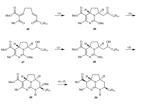Reagents and conditions: (a) O-methylisourea hydrogen
sulfate, i-Pr2EtN, DMSO, 75 °C, 5 h; (b)
NaBH4, i-PrOH, 25 °C; (c) NH3,
NH4OAc, MeOH, 60 °C, 2 days; (d) Dess–Martin,
CH2Cl2, 25 °C, then MeOH, 25 °C, 12 h; (e)
NaCNBH3, NaH2PO4, MeOH, 25 °C, 16 h
then 65 °C, 5 h; (f) NaOH, MeOH 25 °C, 18 h.