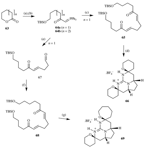 Reagents and conditions: (a) 2 equiv.
CH2PPh3, THF, −78 °C; (b) TBDMSCl,
imidazole, DMF; (c) 0.4 equiv. succinaldehyde, THF, 48 h; 54% overall; (d)
(i) guanidine, DMF, 3 h, (ii) MeOH, HCl, 0 °C–rt, 24 h; (iii) aq.
NaBF4 (sat.), (iv) trituration and crystallisation; 25% overall;
(e) steps (a), (b) then 10 equiv. succinaldehyde, THF, 43%; (f)
64b, THF, 48 h; 37%; (g) as (d) 20%.