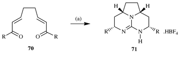 Reagents and conditions: (a) (i) Guanidine, DMF, 0
°C–rt, 5–8 h, (ii) 3∶1∶3
DMF–H2O–MeOH, then NaBH4, 16 h, (iii) HCl
(aq), (iv) aq. NaBF4 (sat.). R = Me,
C5H11, C9H19, Ph, (22–33%
yield).