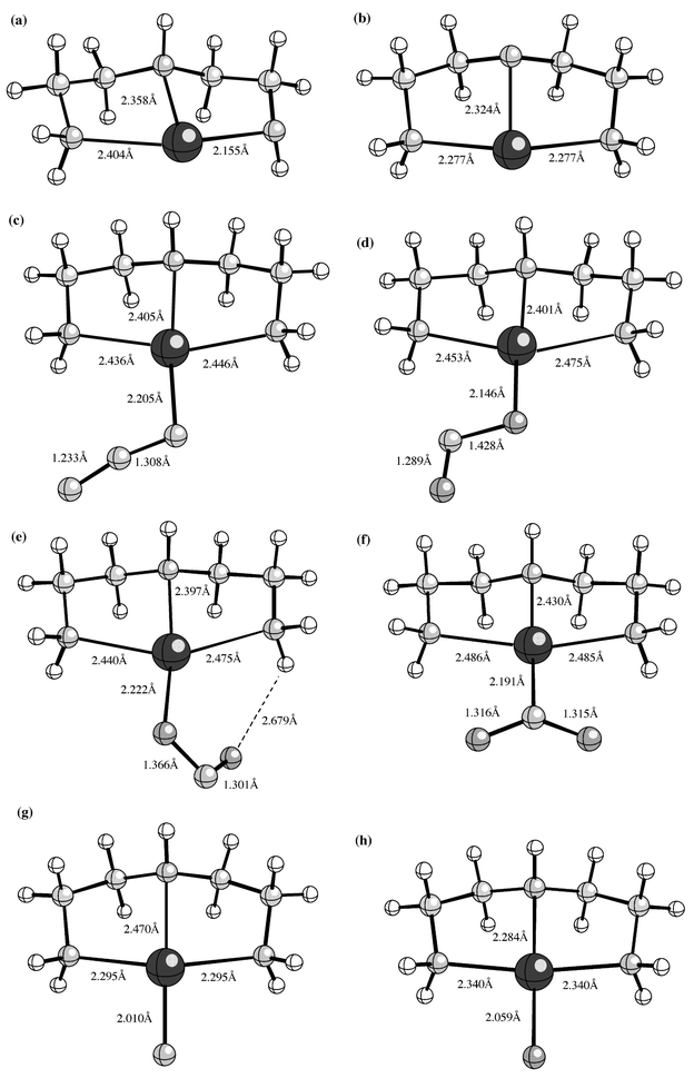 B3LYP/LAV1S optimized structures of: (a) [Pt(dien) − H]+ isomer 1 (deprotonated at NH2 group); (b) [Pt(dien) − H]+ isomer 2 (deprotonated at NH) group; (c) [Pt(dien)(N3)]+; (d) [Pt(dien)(ONO)]+ rotamer 1 (no hydrogen bonding); (e) [Pt(dien)(ONO)]+ rotamer 2 (with hydrogen bonding); (f) [Pt(dien)(NO2)]+; (g) [Pt(dien)N]+; (h) [Pt(dien)O]+.
