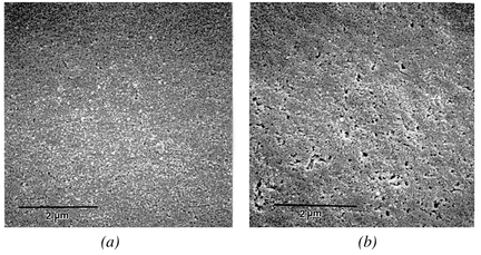 SEM micrographs of Nafion resin–silica composites [Type
1(a) and Type 2(b)] after calcination to 600 °C.