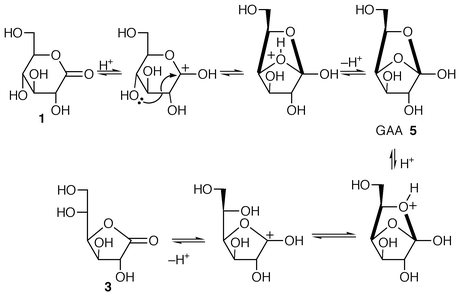 Mechanism proposal for the ring contraction of 1 to
3.