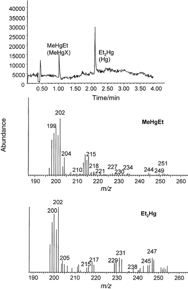 Total ion chromatogram of TORT-2 extract and mass spectra corresponding to the two analyte peaks, obtained using molecular mode.