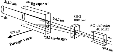 
            Experimental set-up for differential imaging. An acousto-optic deflector combined with an SHG generate two beams separated spectrally by 80 MHz.
          