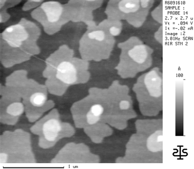 SFM image of an α5T film on TiO2(100) with a mean thickness of 7.2 nm.