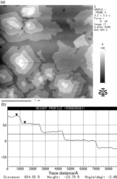 (a) SFM image of an α5T-layer on TiO2(001) with a mean thickness of 19.5 nm; (b) cross section along the line shown in (a).