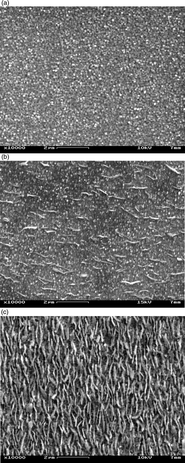 SEM-measurements of (a) the reduced (n-doped) TiO2(001) surface; (b) an α5T layer with a mean thickness of 7.2 nm; and (c) an α5T layer with a mean thickness of 85 nm on top of this surface.