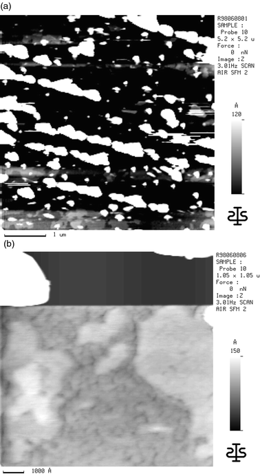 (a) SFM image of an α5T layer with a mean thickness of 10 nm on the reduced (n-doped) TiO2(001) surface; (b) higher magnification scan.