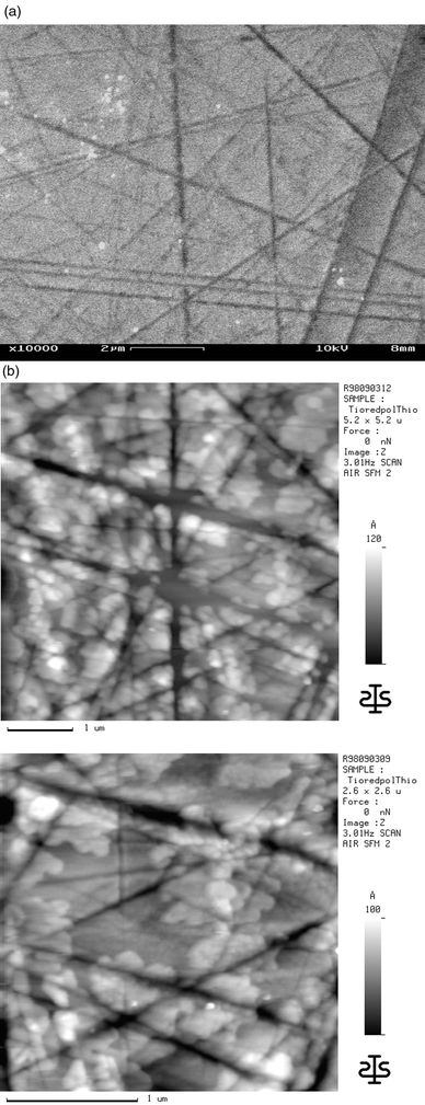 (a) SFM image of an α5T layer with a mean thickness of 7.2 nm on the reduced (n-doped) and subsequently polished TiO2(001) surface; (b) higher magnification scan.