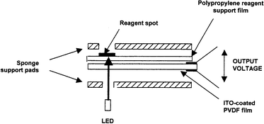 Exploded schematic view of the PiezOptic monitoring badge. The complete badge consists of five reagent spots on a single PVDF strip, the components shown being compressed together in a moulded plastic housing. After use this is measured in a reader with five LEDs.