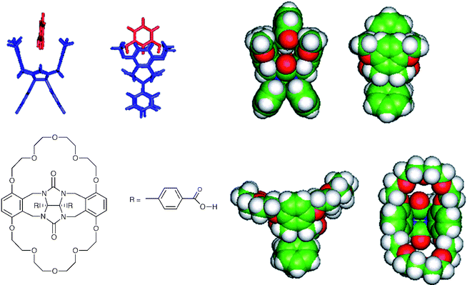 Examples of ‘molecular clip' receptors based on a central diarylglycouril unit connected to two aromatic ‘walls'.