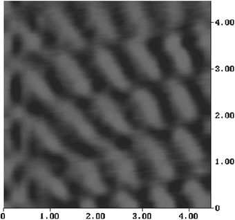 STM Image of a LB monolayer of 1 on HOPG, with Pt/Ir tip (Nanoscope III). Scan size = 4.5 nm × 4.5 nm.8