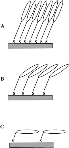 Schematic representation of the possible orientation of the Pc SAMs on the gold-coated substrate (A) SAM of 1, (B) SAM of 2 and (C) SAM of 3.