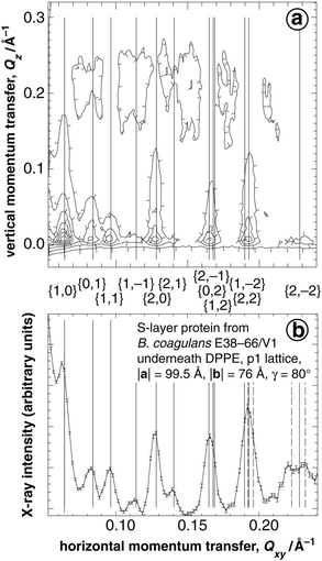 GIXD from an S-layer lattice (B. coagulans E38–66/V1) reconstituted underneath a DPPE monolayer. (a) Contour plot of the scattered intensity I vs. the horizontal and vertical components, Qxy and Qz, of the momentum transfer. Note that the intensity as a function of Qxy is concentrated in Bragg peaks which, vertically resolved, are seen to extend as Bragg rods in the Qz-direction. (b) The intensity integrated over Qz for −0.05 < Qz < 0.45 Å−1 is plotted as a function of Qxy. The vertical lines mark Qxy-positions of the Bragg maxima corresponding to the indicated {h,k} Miller indices of an oblique lattice with |a| = 99.5 Å, |b| = 76 Å and γ = 80°. Dashed vertical lines in (b) indicate third order Bragg positions that have not been labeled.