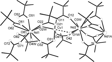 Part of the one-dimensional [Nd2Cu(CCl3COO)8(H2O)4] chain in the crystal structure of Nd2Cu(CCl3COO)8·6 H2O.10
