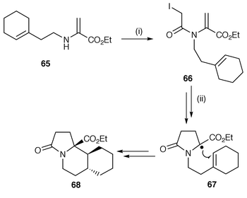 Reagents and conditions: i, ICH2COCl, PhNEt2; ii, Ph3SnH, 5 h, PhH, AIBN, 61%.
