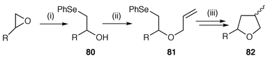 Reagents and conditions: i, ArSe− ; ii, NaH, allyl bromide; iii, Bu3SnH, AIBN.
