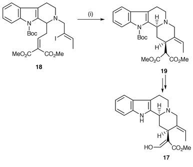 Reagents and conditions: i, Bu3SnH, Et3B, PhMe, rt, 19 (E) 33%, 19 (Z) 17%.
