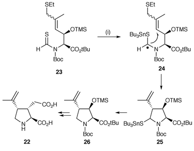 Reagents and conditions: i, Bu3SnH, AIBN, 73%.
