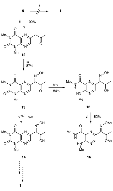
          Reagents and conditions: i, Na2S, aq. HCl, MeOH (reflux); ii, HgSO4, H2O, TFA (reflux); iii, NaNO2, H2O, AcOH (0 °C); iv, NaBH4, aq. NaOH (rt); v, aq. HCl; vi, Ac2O, pyridine.
