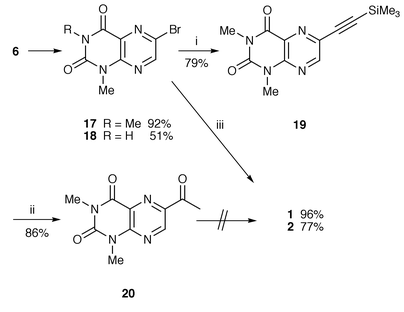 
          Reagents and conditions: i, Me3SiCCH, Pd(PPh3)2Cl2, CuI, Et3N (50–60 °C); ii, HgSO4, H2O, TFA; iii, 24, Pd(Ph3P)2Cl2, CuI, Et3N, MeCN (reflux).
