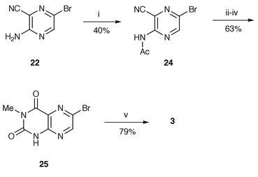 
          Reagents and conditions: i, Ac2O, ClCH2CH2Cl (reflux); ii, NaH, THF; iii, MeNCO; iv, aq. HCl (reflux); v, 24, Pd(Ph3P)2Cl2, CuI, Et3N, MeCN (reflux).
