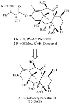 Paclitaxel, Docetaxel, and their common precursor 10-DAB.
