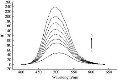 Fluorescence spectra change of 3H2NA at various TMβ-CD concentrations. [3H2NA] = 9.3 × 10−6 M, [TMβ-CD]t: (a) 0.00; (b) 0.443; (c) 0.621; (d) 0.904; (e) 1.24; (f ) 1.77; (g) 2.48; (h) 3.55 × 10−3 M, pH = 7.0, T = 25 °C.
