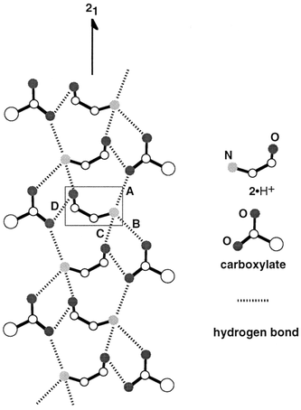 Schematic representation of the columnar hydrogen-bond network formed in the less-soluble diastereomeric salts. Hydrogen atoms as well as aryl and alkyl groups are omitted for clarity. The dotted lines show the hydrogen bonds.
