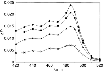 Spectrum of phenylselanyl radical in hexane. [PhSeSePh] = 2.8 × 10−4 M (•, 32; ■, 60; ▲, 100; ×, 260 ms after flash).
