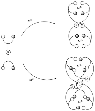 scheme, filename = a908041d-s1.gif